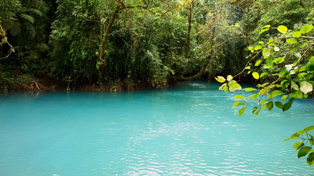 turquoise waters